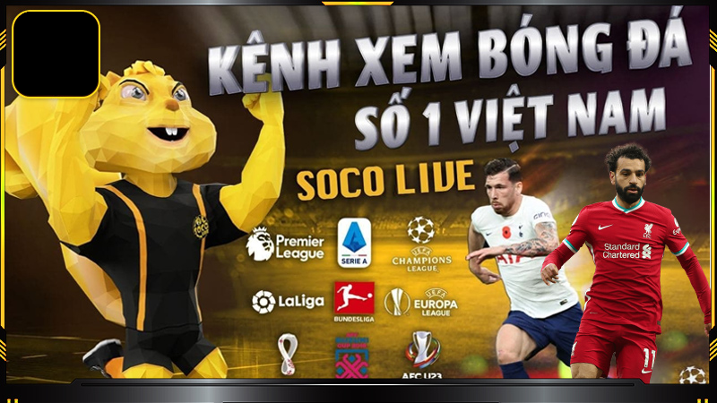 Câu hỏi thường gặp - Socolive có cung cấp dịch vụ hoàn toàn miễn phí không Câu hỏi thường gặp - Socolive có cung cấp dịch vụ hoàn toàn miễn phí không